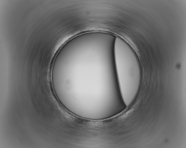 X0000090860893200707270931