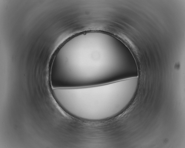 X0000090860894200707270931
