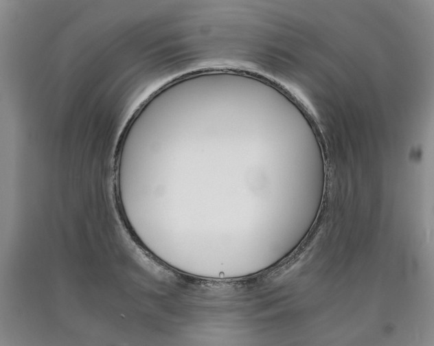 X0000090860895200707270931