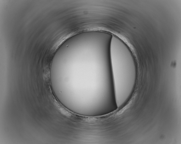 X0000090860897200707270931