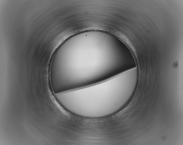 X0000090860898200707270931