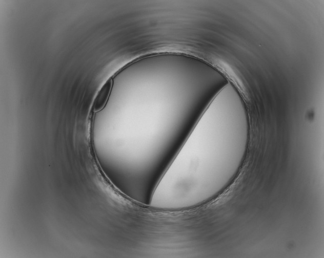 X0000090860900200707270931