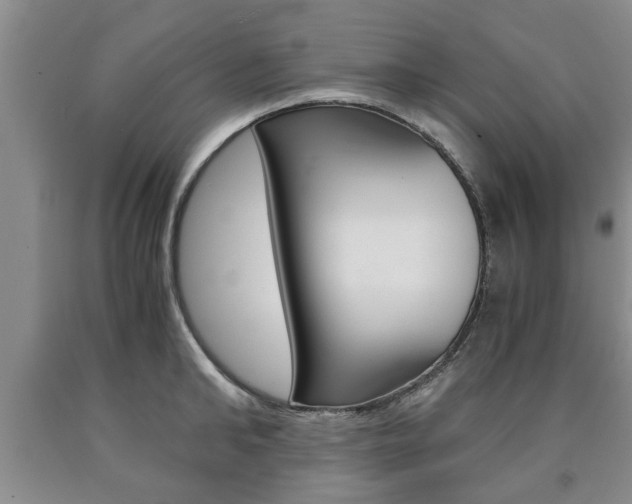 X0000090860902200707270931
