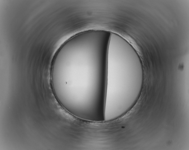 X0000090860904200707270931