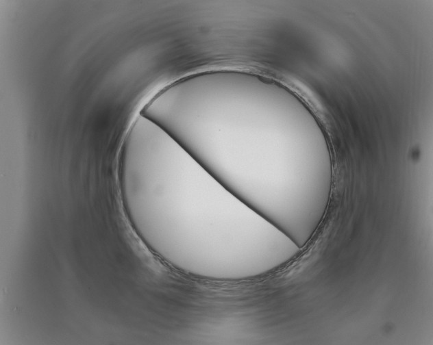 X0000090860907200707270931