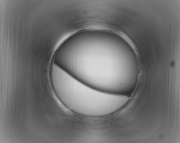 X0000090860909200707270931