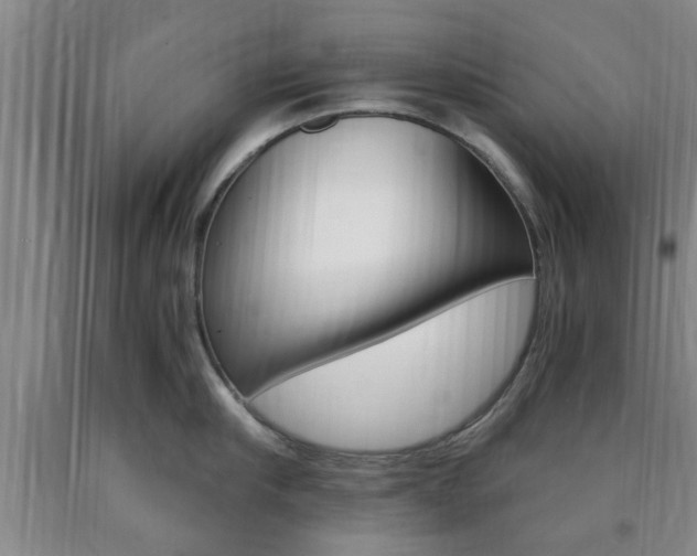 X0000090860910200707270931