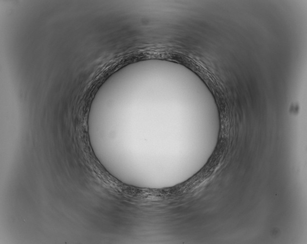 X0000090860913200707270930