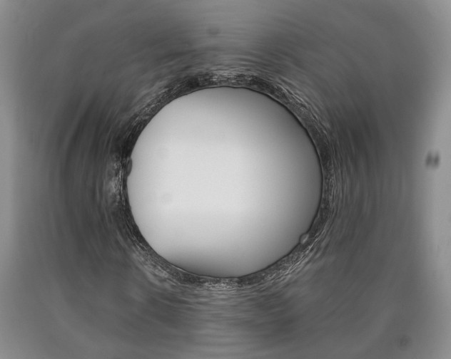 X0000090860914200707270930