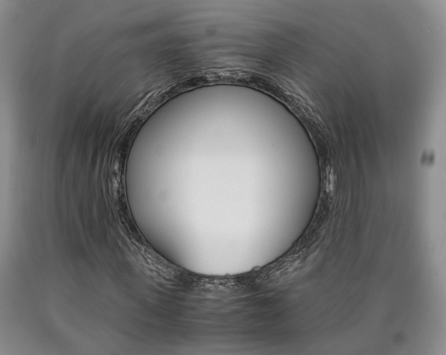 X0000090860915200707270930