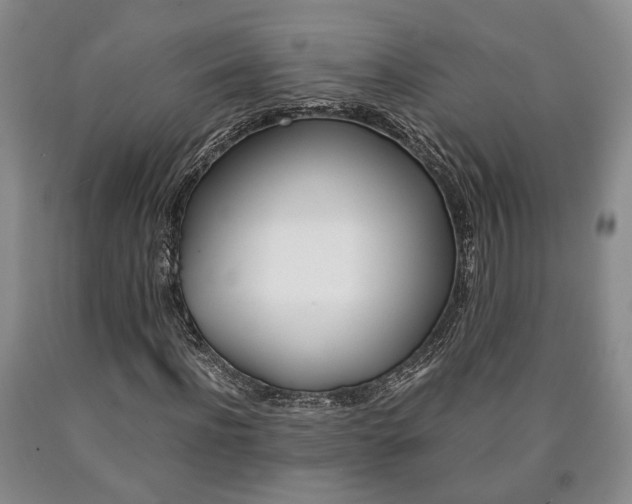 X0000090860916200707270930