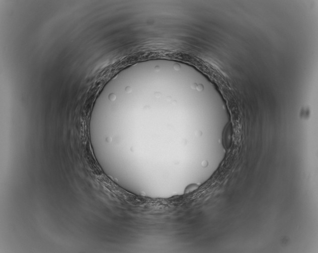 X0000090860917200707270930