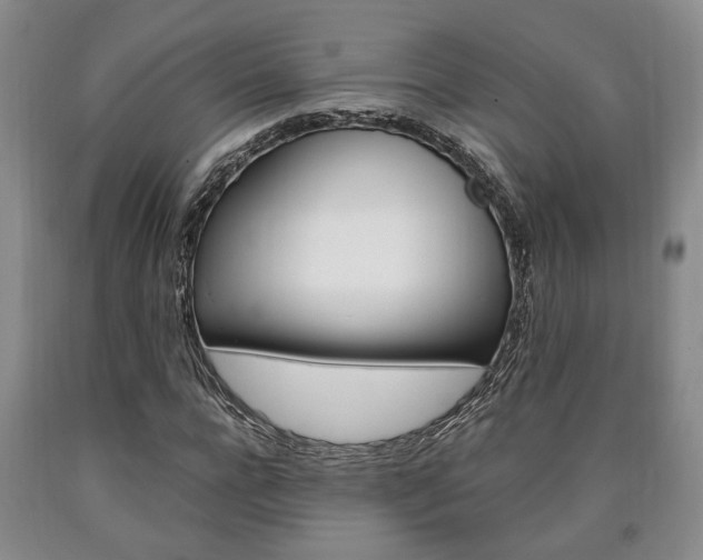 X0000090860920200707270930