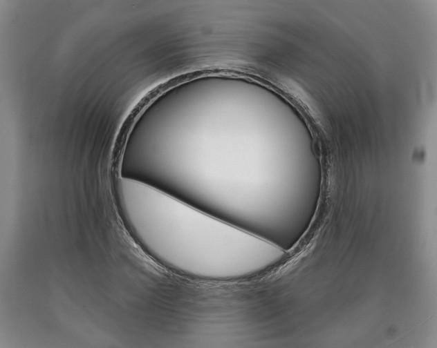X0000090860924200707270930