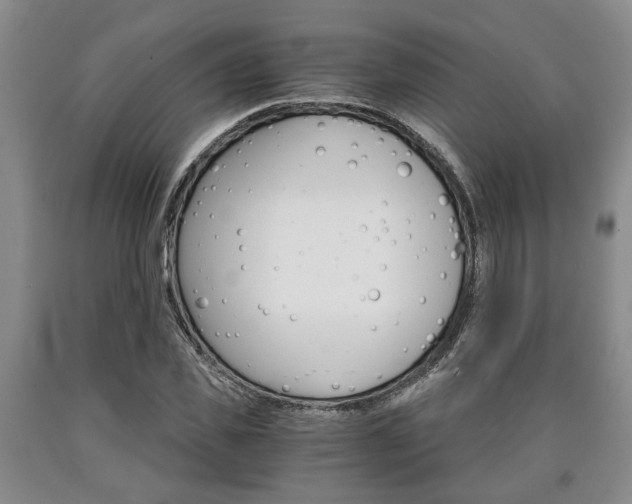 X0000090860925200707270930