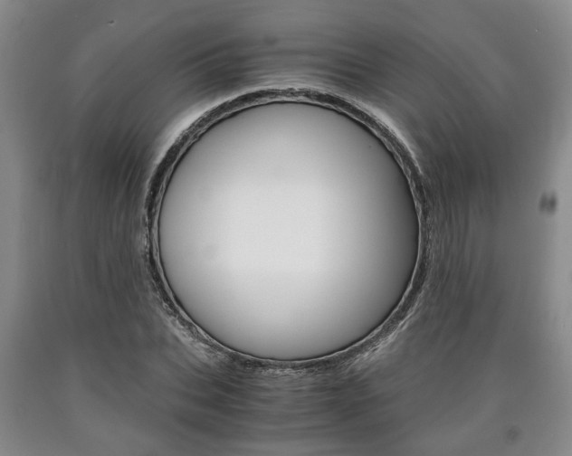 X0000090860927200707270930