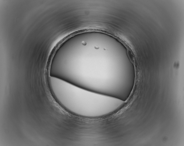 X0000090860928200707270930