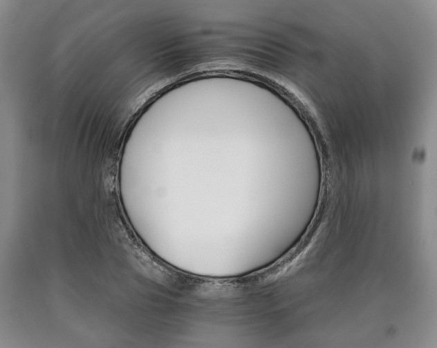 X0000090860929200707270930