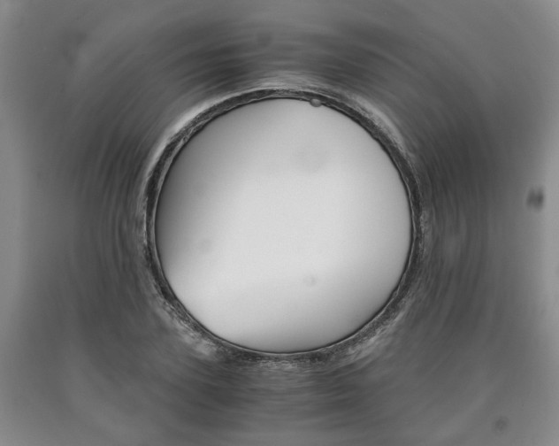 X0000090860931200707270930