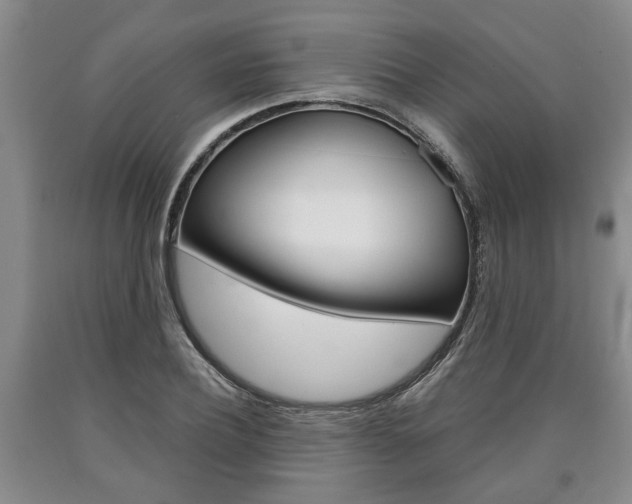 X0000090860932200707270930