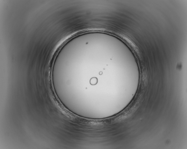 X0000090860933200707270930