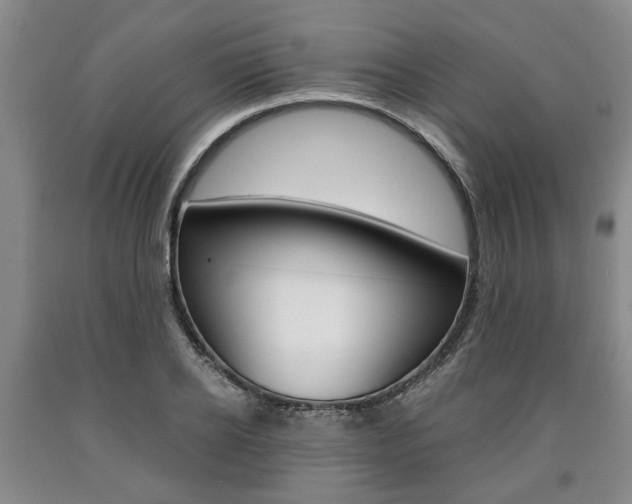 X0000090860934200707270930