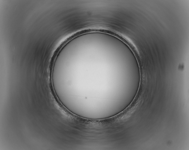 X0000090860935200707270930