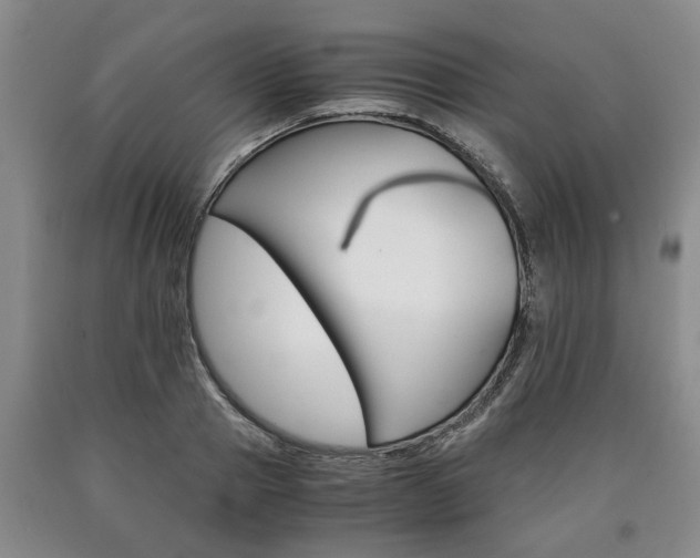 X0000090860937200707270930