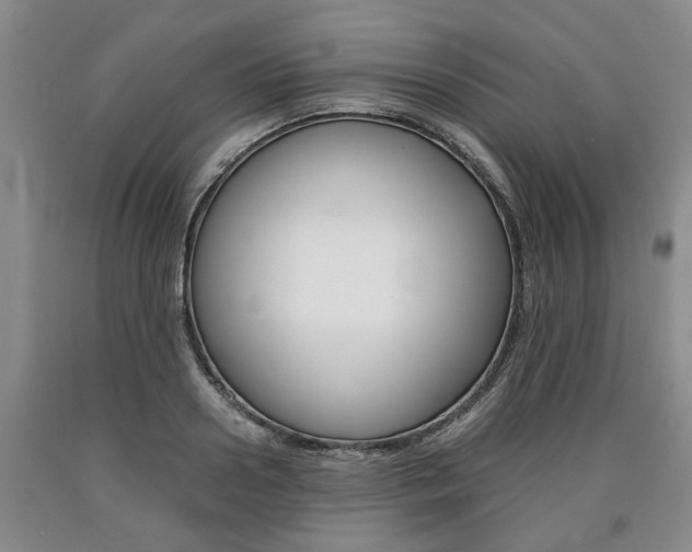 X0000090860938200707270930