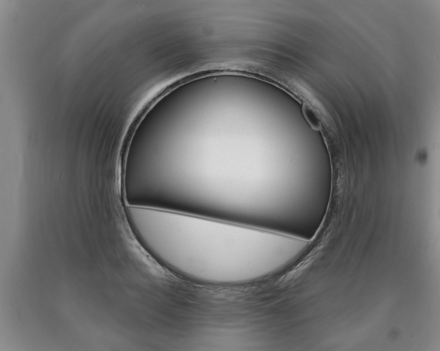 X0000090860940200707270930