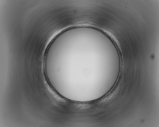 X0000090860941200707270930