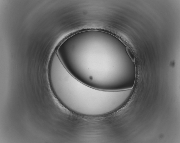 X0000090860942200707270930