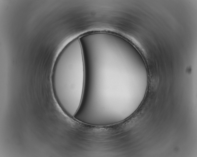 X0000090860943200707270930