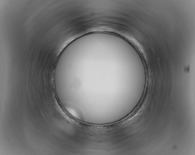 X0000090860945200707270931