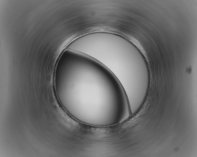 X0000090860946200707270931