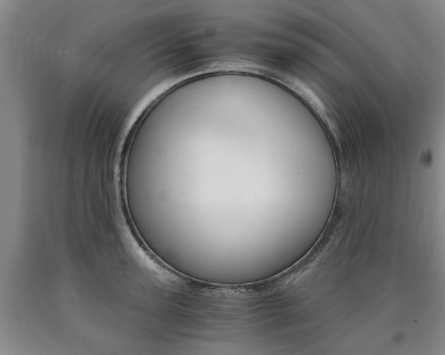X0000090860947200707270931