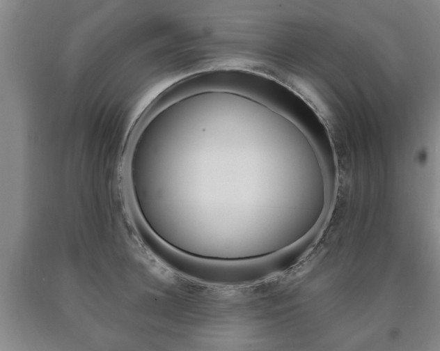 X0000090860948200707270931
