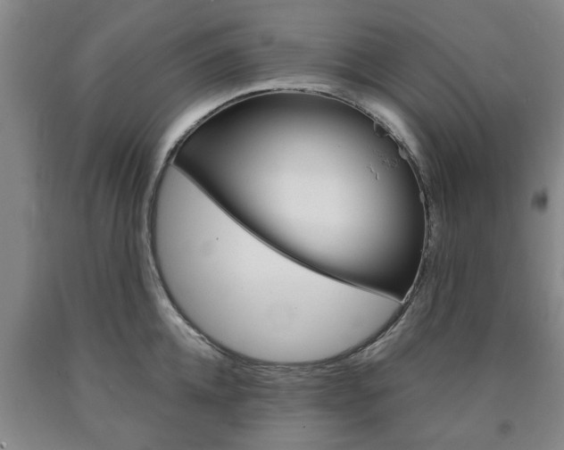X0000090860952200707270931