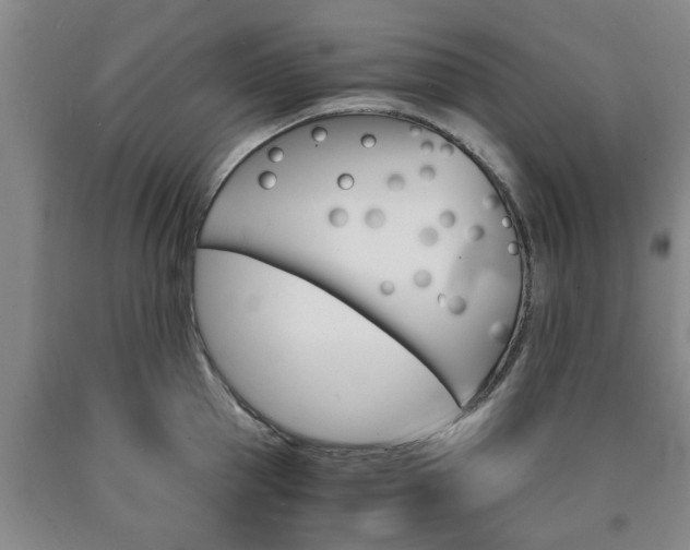 X0000090860953200707270931