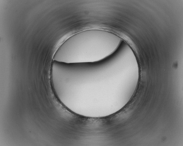 X0000090860954200707270931