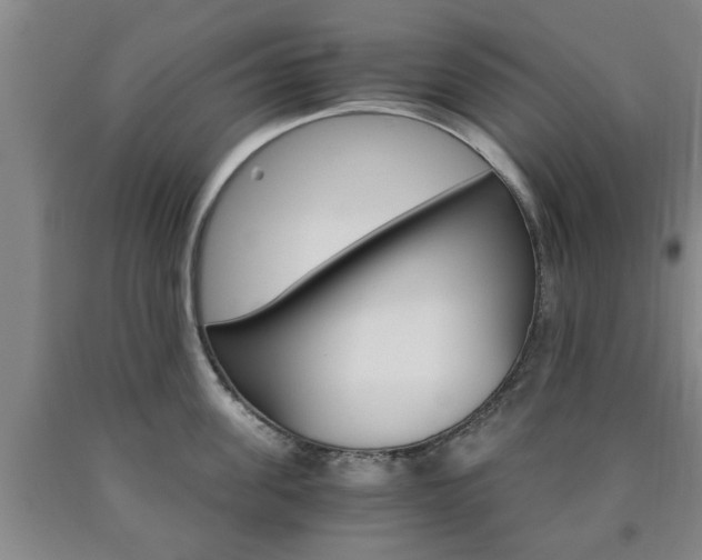 X0000090860955200707270931