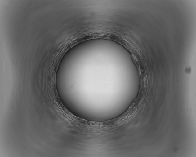 X0000090860961200707270930