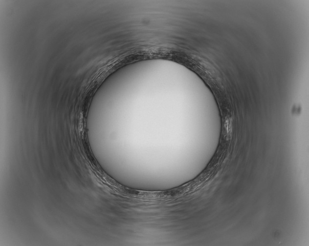 X0000090860963200707270930