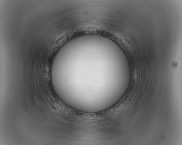 X0000090860964200707270930