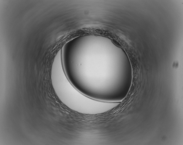 X0000090860965200707270930