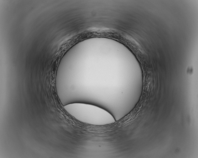 X0000090860966200707270930
