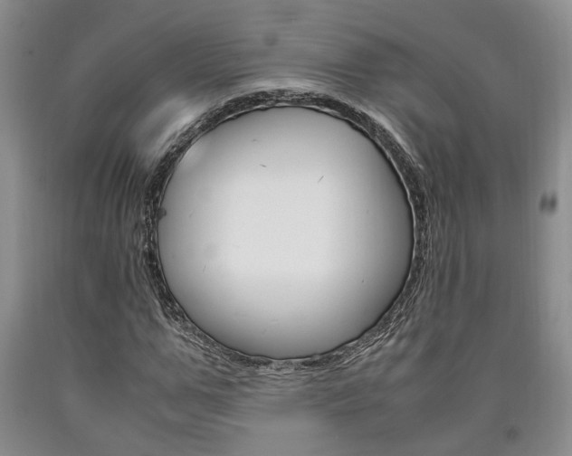 X0000090860967200707270930