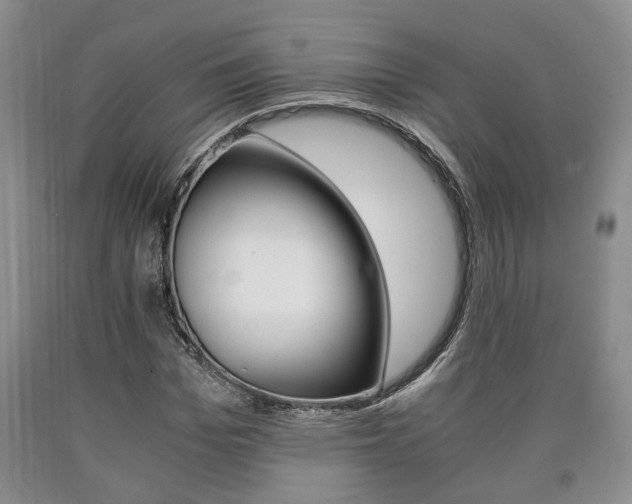 X0000090860969200707270930