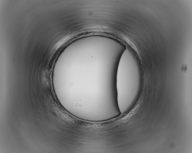 X0000090860970200707270930