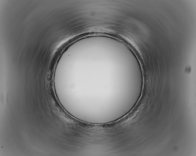 X0000090860971200707270930